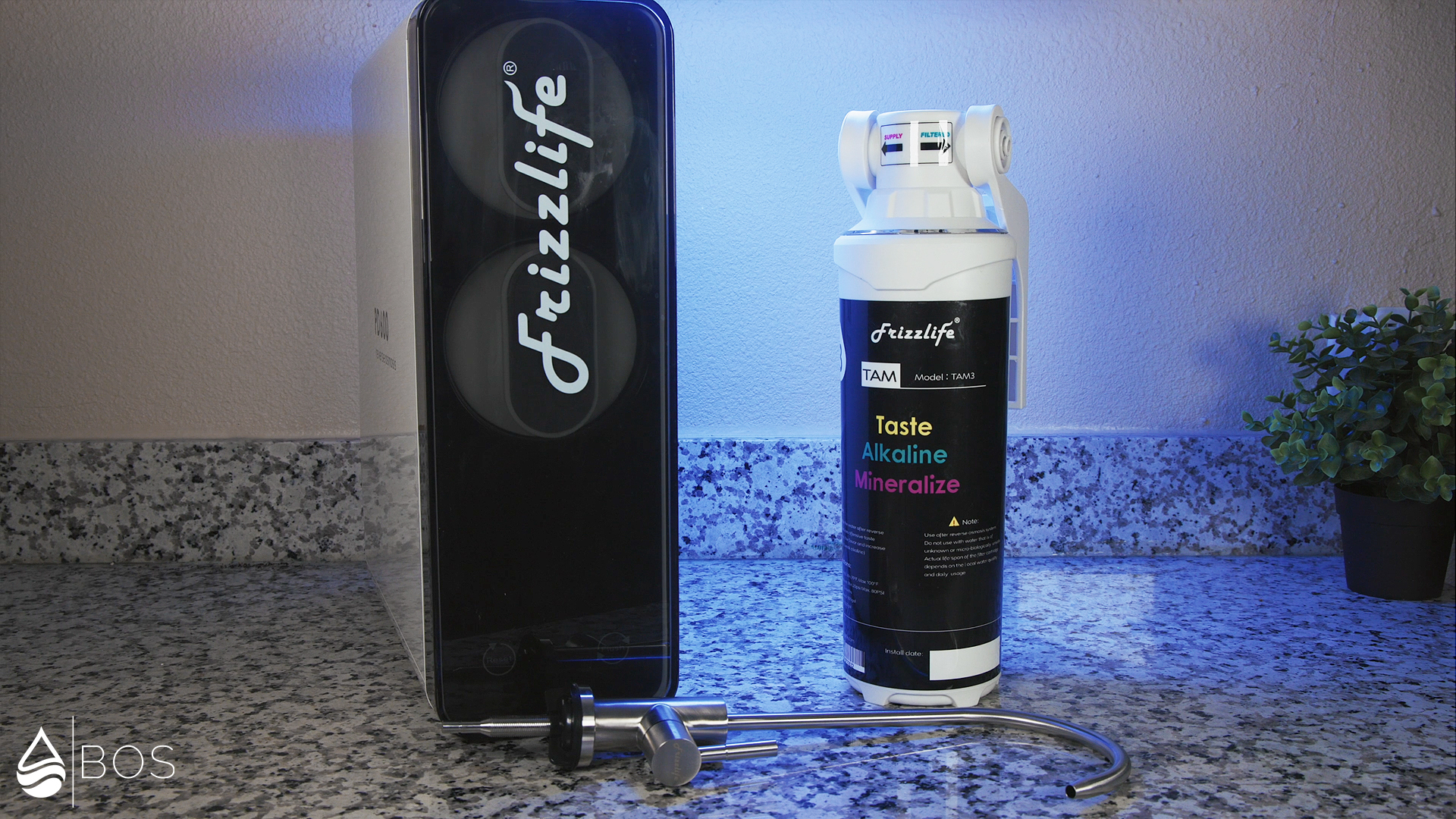 Frizzlife PD600-TAM3 on Sara's countertop