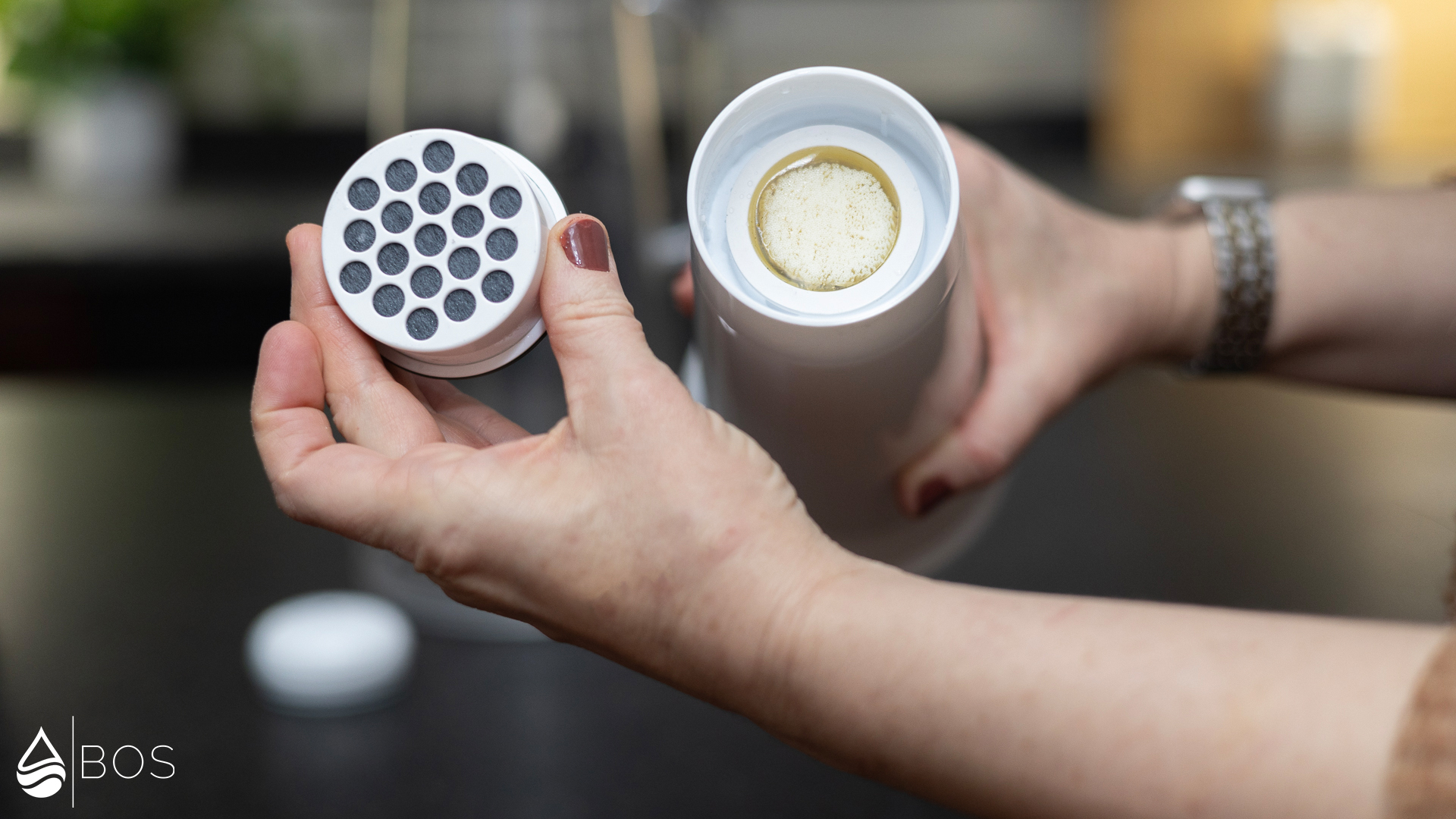 LifeStraw Home 10-Cup Filter Elements