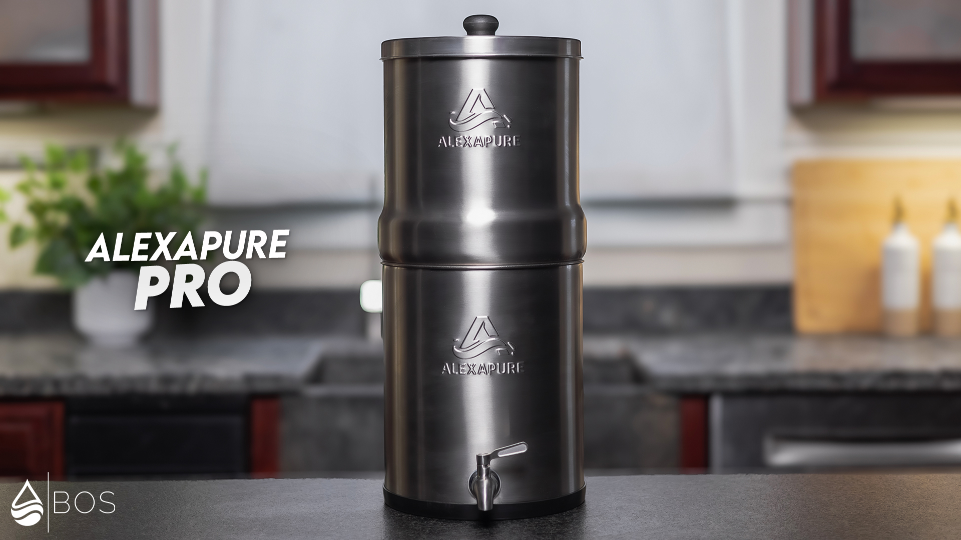 Alexapure Pro on Sara's Countertop