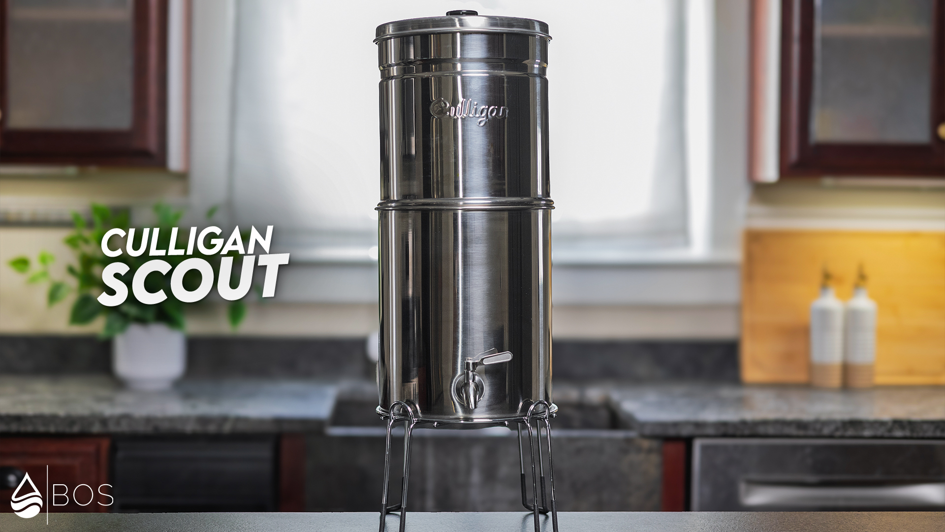 Culligan Scout on Sara's Countertop