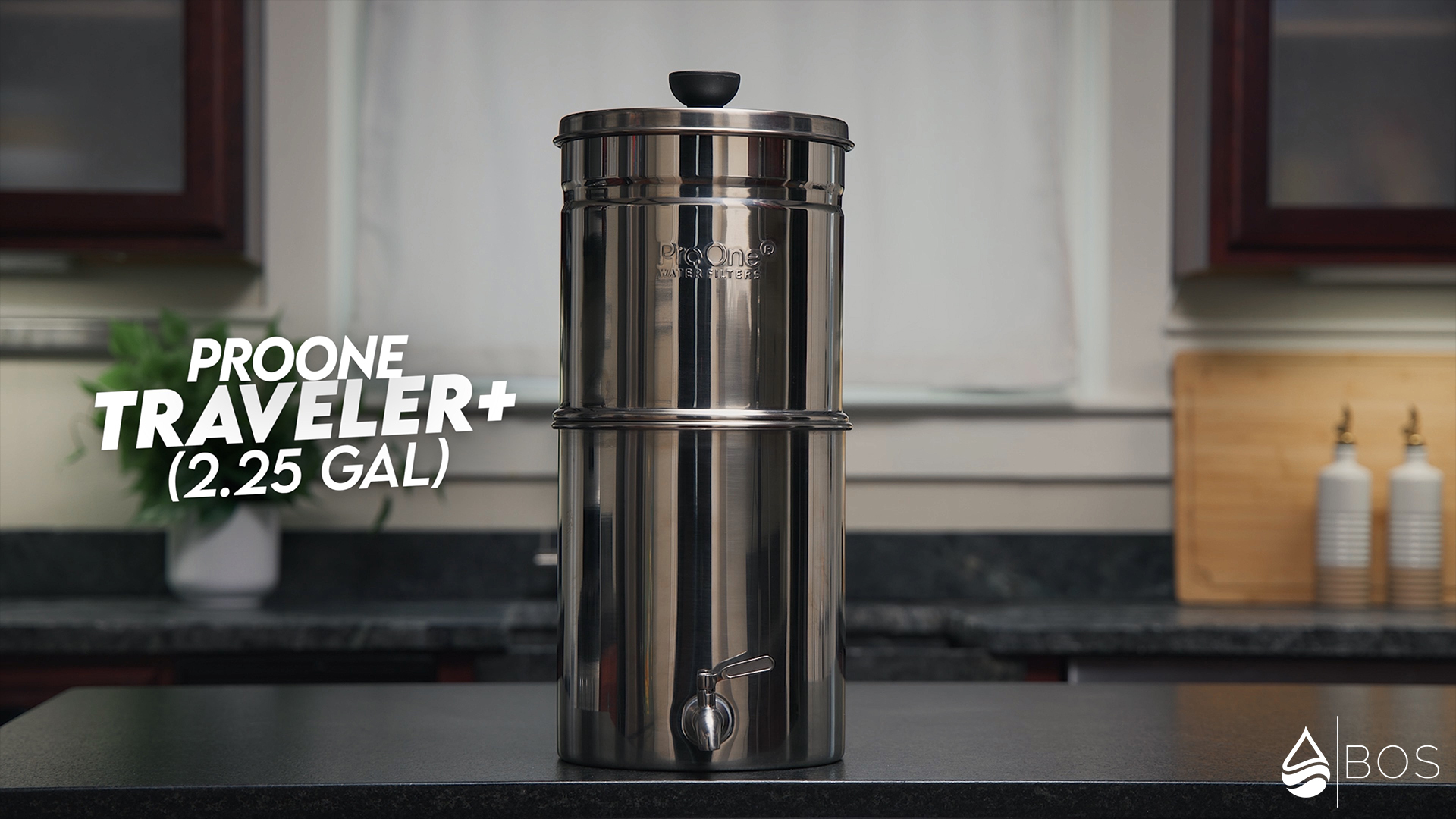 ProOne Traveler+ on Sara's Countertop