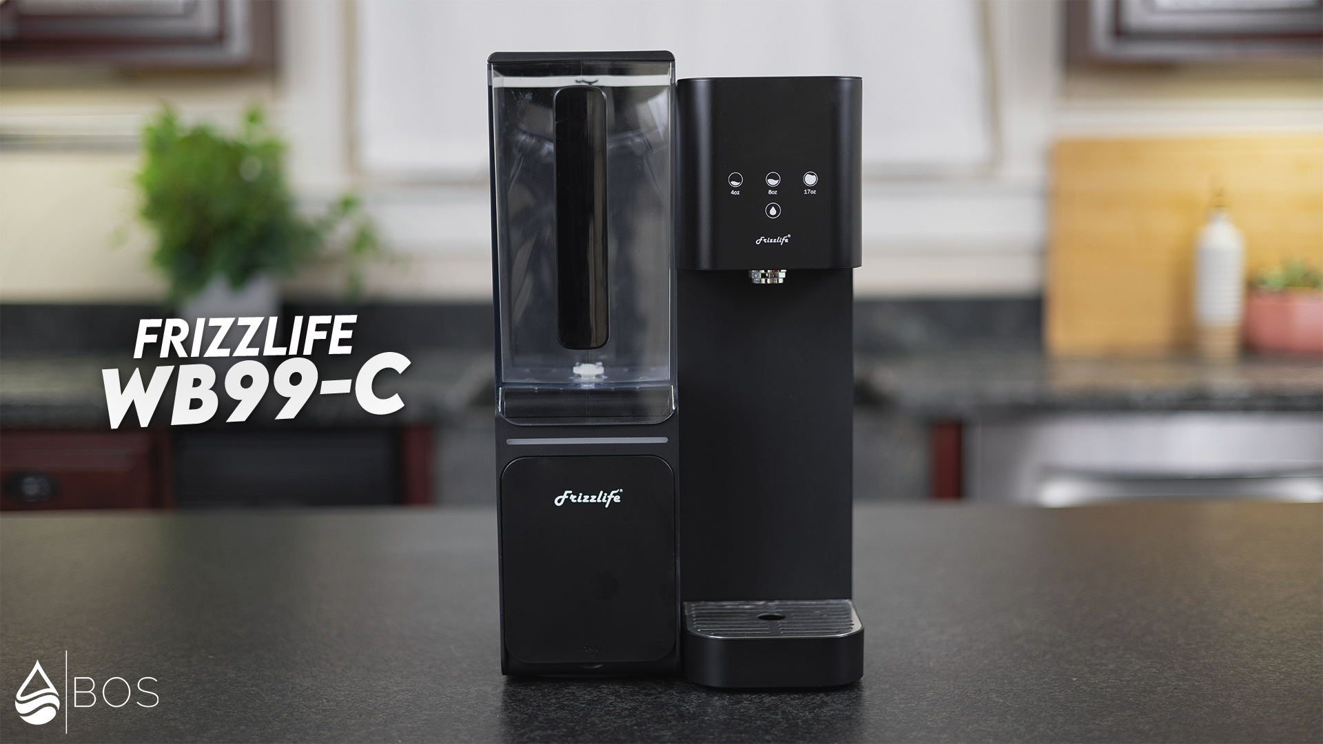 Frizzlife WB99-C on Sara's Countertop