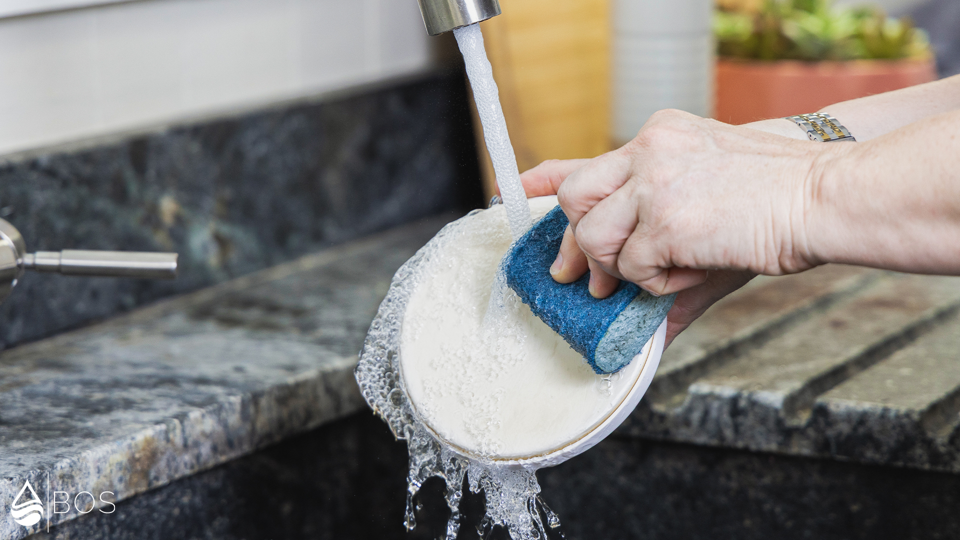 Santevia Gravity Water System Scrubbing Ceramic Pre-Filter Under Faucet